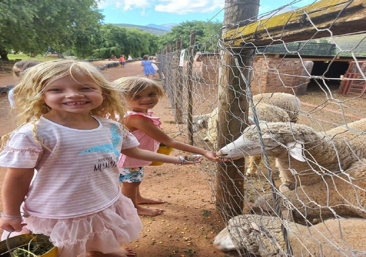 Wilgewandel Holiday Farm & Day Restaurant Oudtshoorn Eksteriør billede