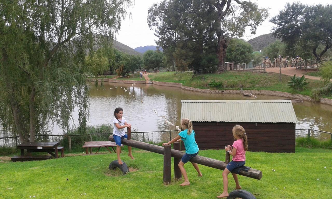 Wilgewandel Holiday Farm & Day Restaurant Oudtshoorn Eksteriør billede