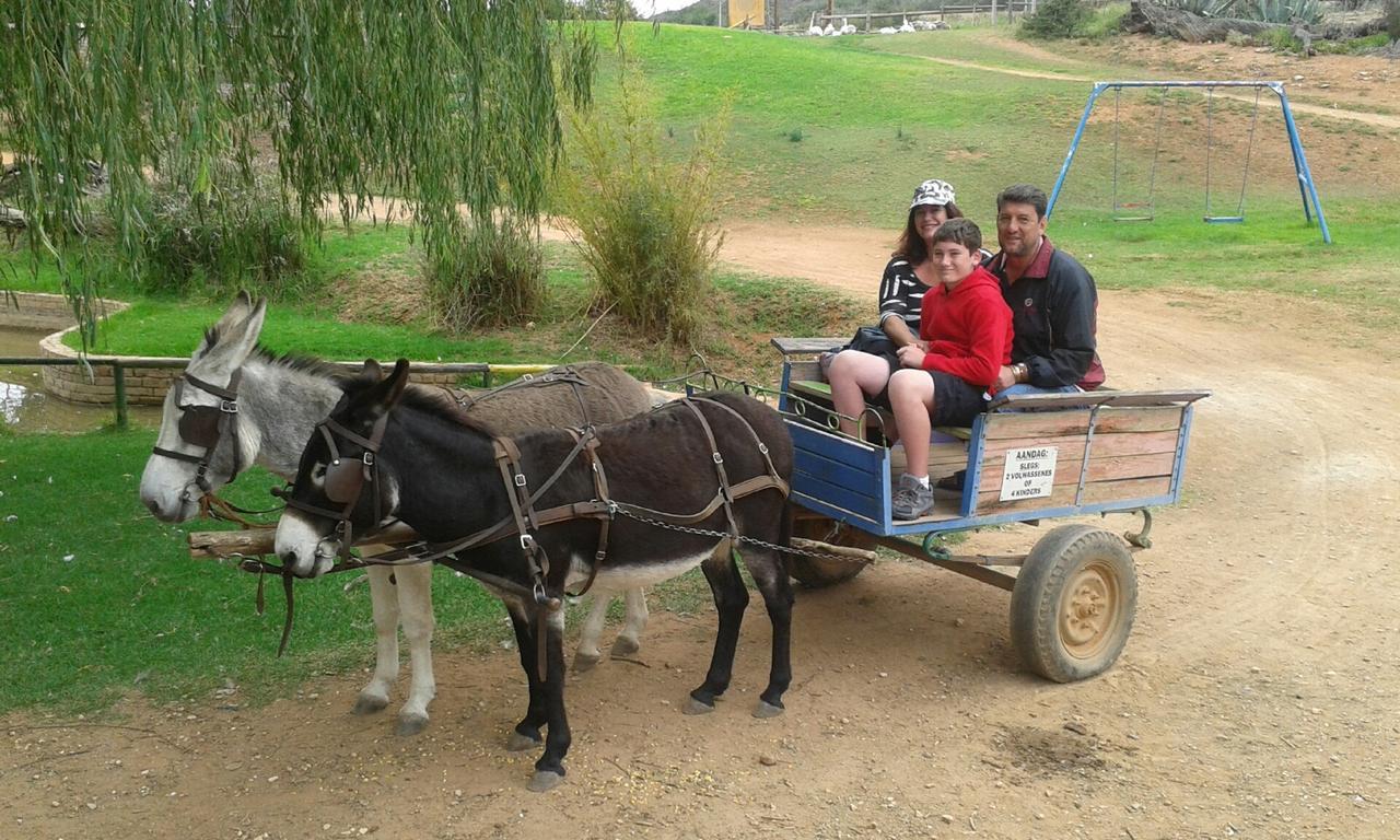 Wilgewandel Holiday Farm & Day Restaurant Oudtshoorn Eksteriør billede