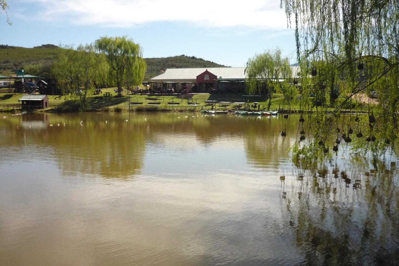 Wilgewandel Holiday Farm & Day Restaurant Oudtshoorn Eksteriør billede