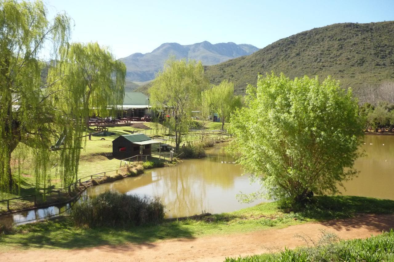 Wilgewandel Holiday Farm & Day Restaurant Oudtshoorn Eksteriør billede